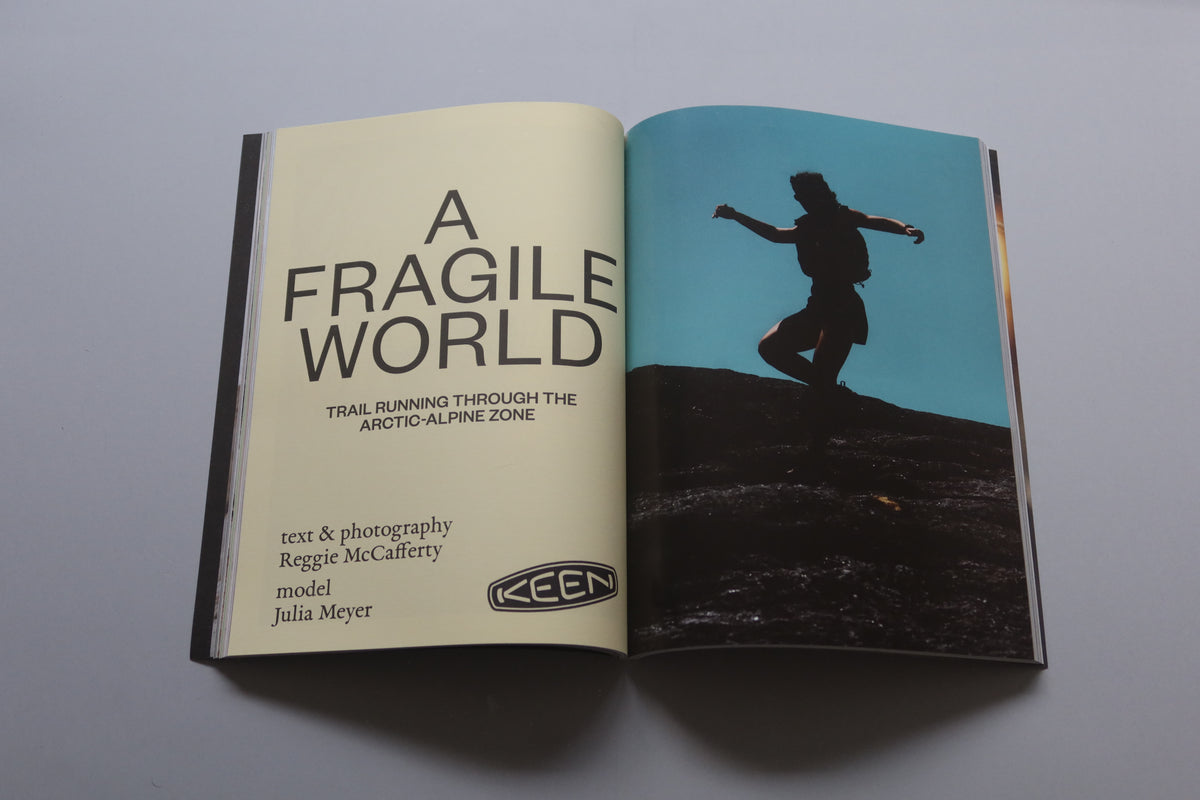 Amateurs Issue 3