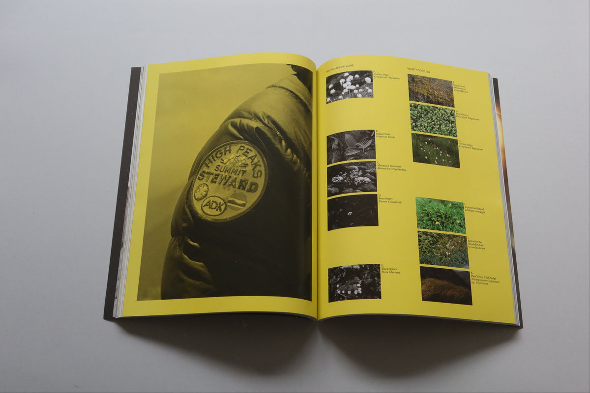 Amateurs Issue 3
