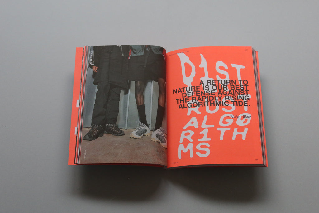 Vanish Issue 01 We Are Mountain